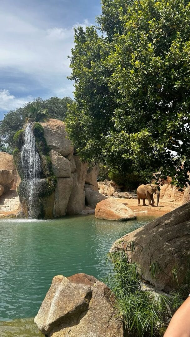 Bioparc Valencia zoo with African animals in natural habitats