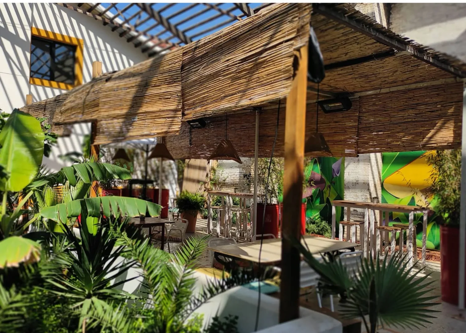 Lindala Restobar Valencia Cabanyal