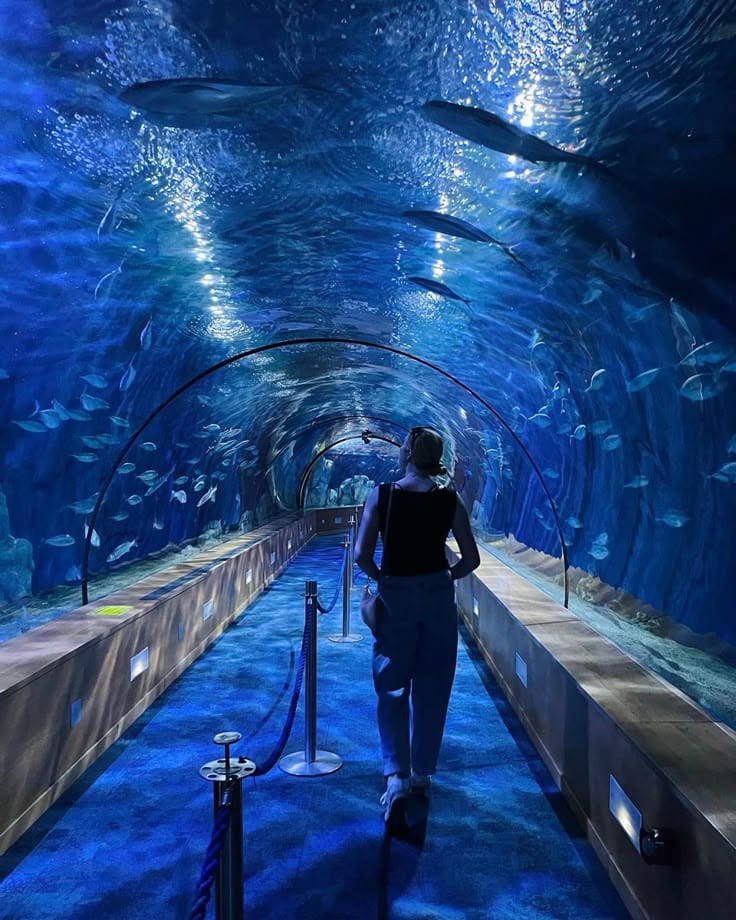 Oceanogràfic Valencia aquarium dome reflecting in the water