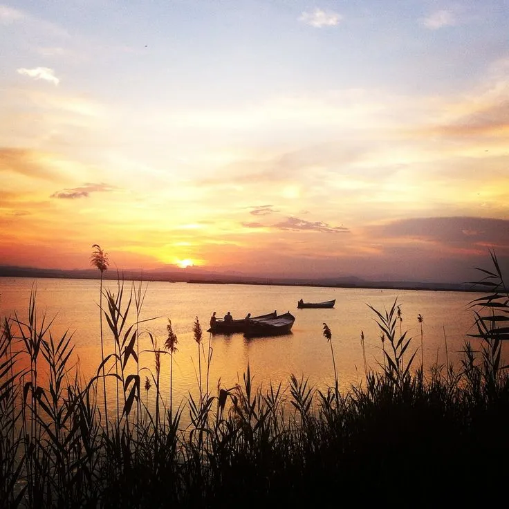 LA ALBUFERA (VALENCIA)