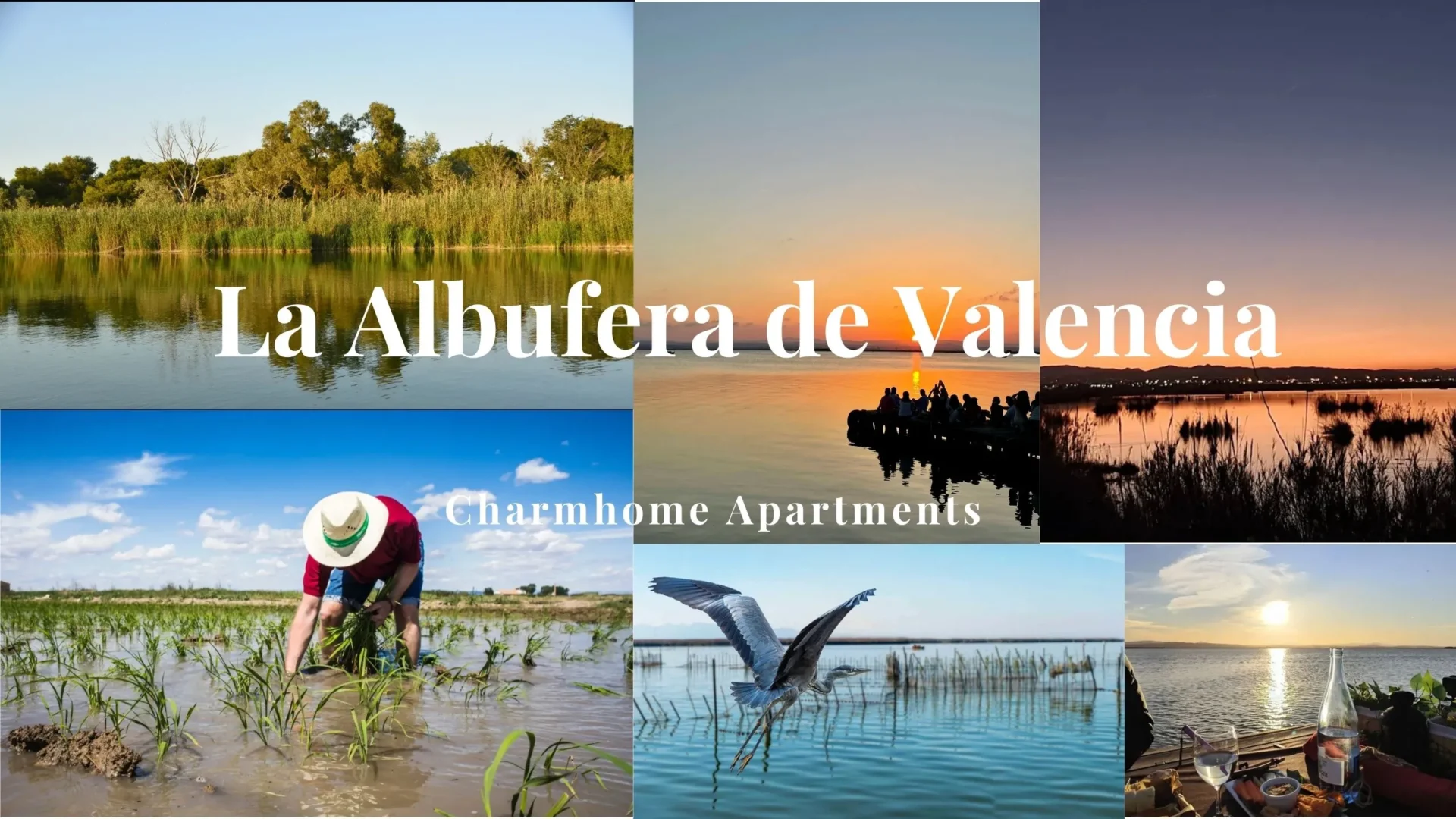 La Albufera de Valencia Charmhome Apartments