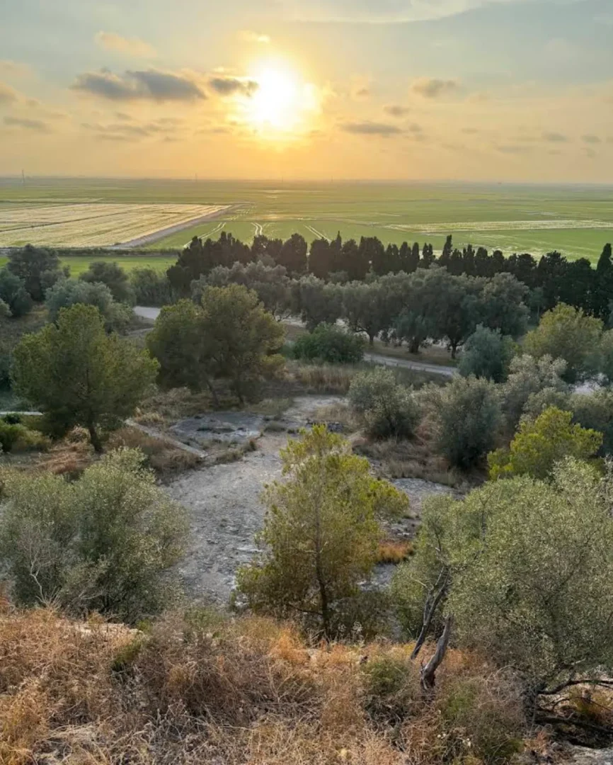 Muntanyeta del sants el palmar valencia