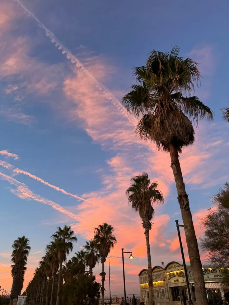 Playa Malvarrosa atardecer