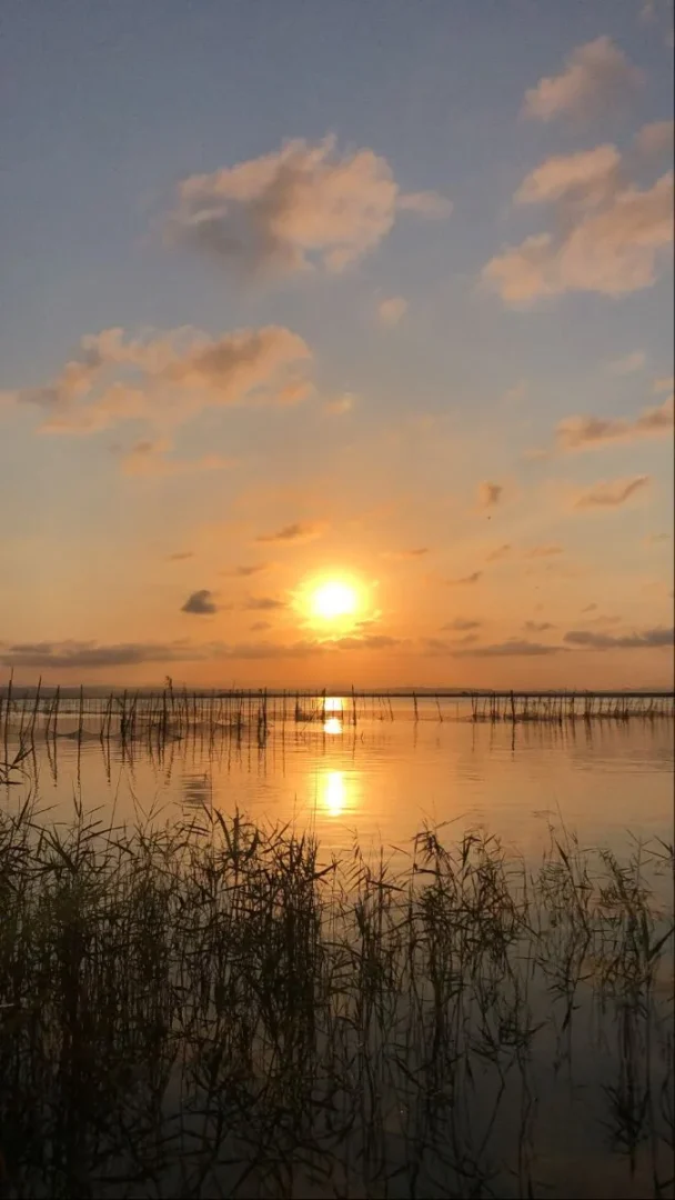 la albufera🌅