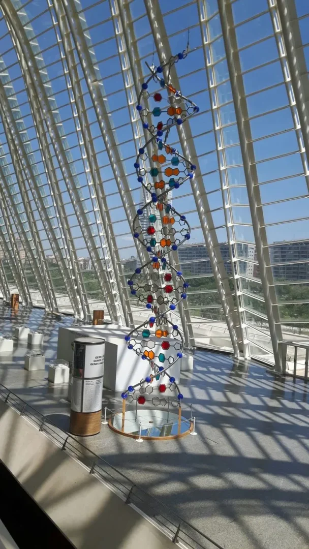 Museo de las Ciencias Príncipe Felipe -Valencia - España_ Ciudad de las Artes y las Ciencias