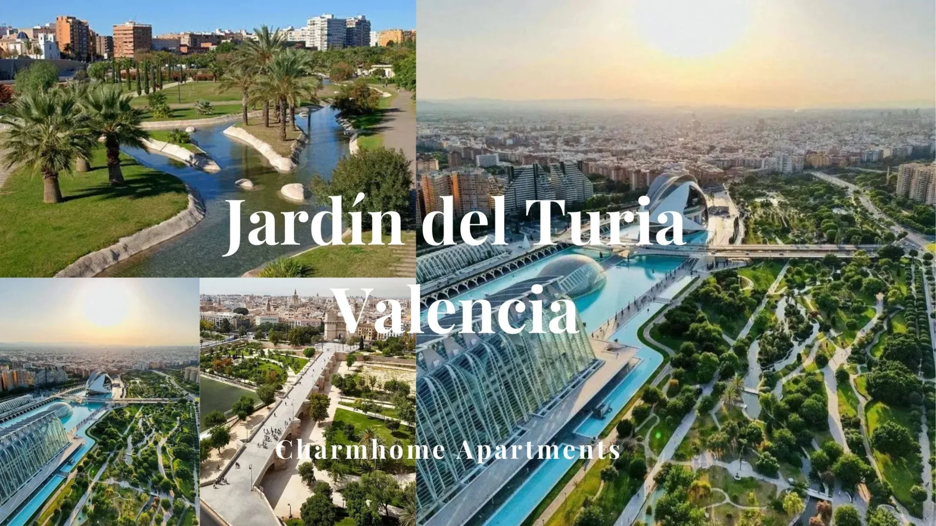 Jardín del Turía Valencia