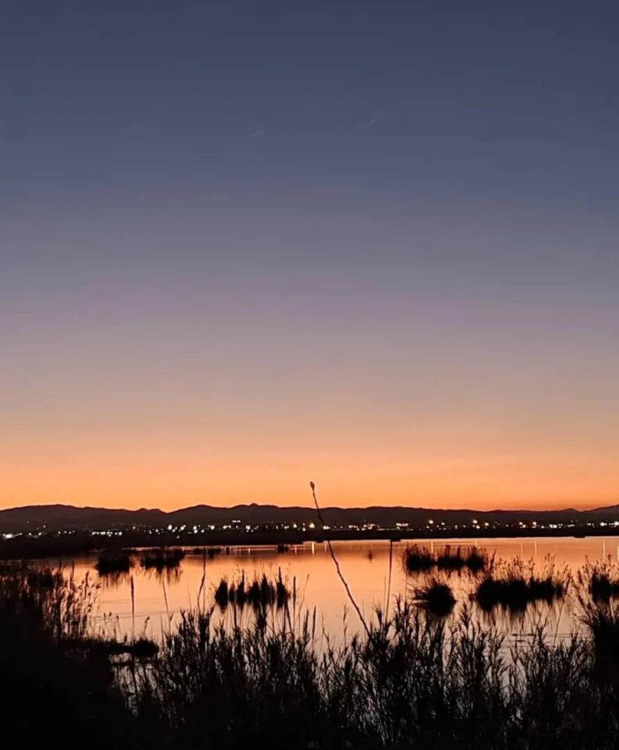Atardecer. La Albufera Valencia con niños en familia. 